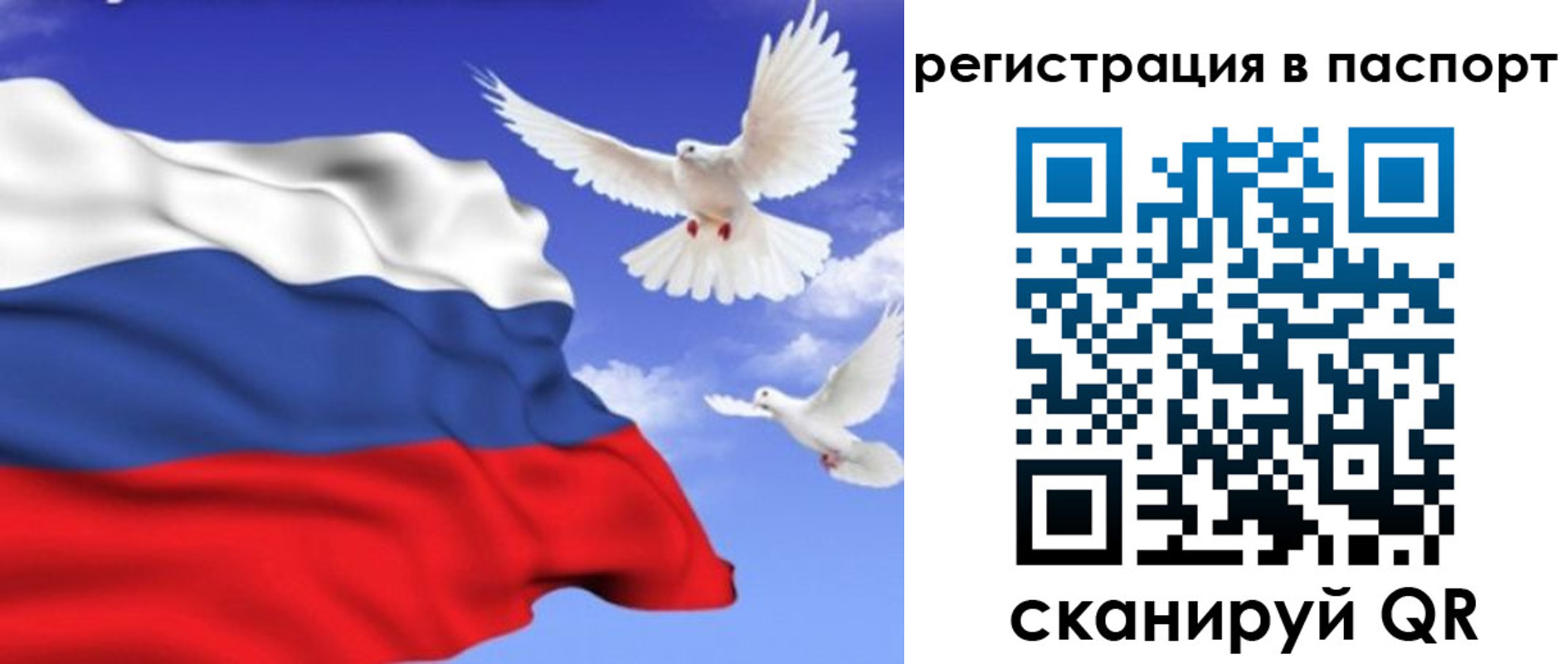 купить прописку в Александровске-Сахалинском